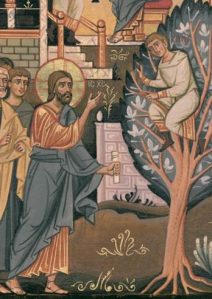 Gesù chiama Zaccheo.