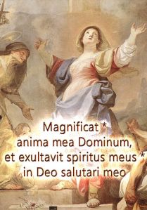 0016-non-vi-prometto-felicita-qui-5_55c33543a17d0