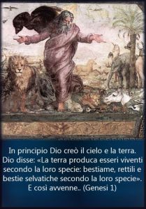 0018-animali-paradiso-1_55d5d2823a245