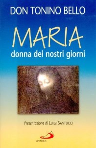 Il libro sotto accusa su Maria scritto da Bello.