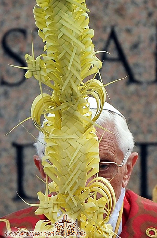 _010 Domenica delle Palme 3
