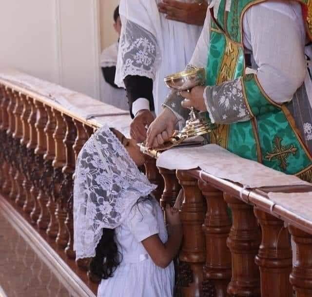 98346721_3561593753857928_3628294487970676736_n