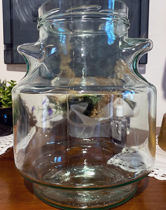 _026 frammenti Ostie 5